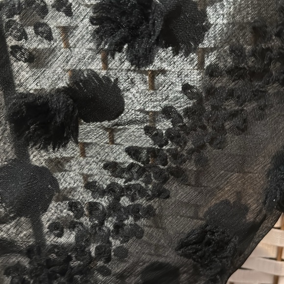 Almost Fabulous Elegant Black Dress w/Bishop Sheer Sleeves & Embroidered Flowers - Picture 6 of 8